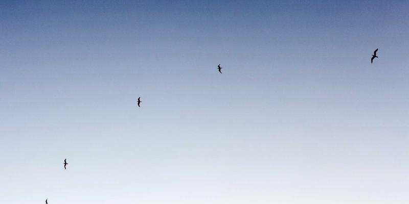 攻克微间距CSP贴装难关：精密SMT工艺控制与贴片机选型实战指南